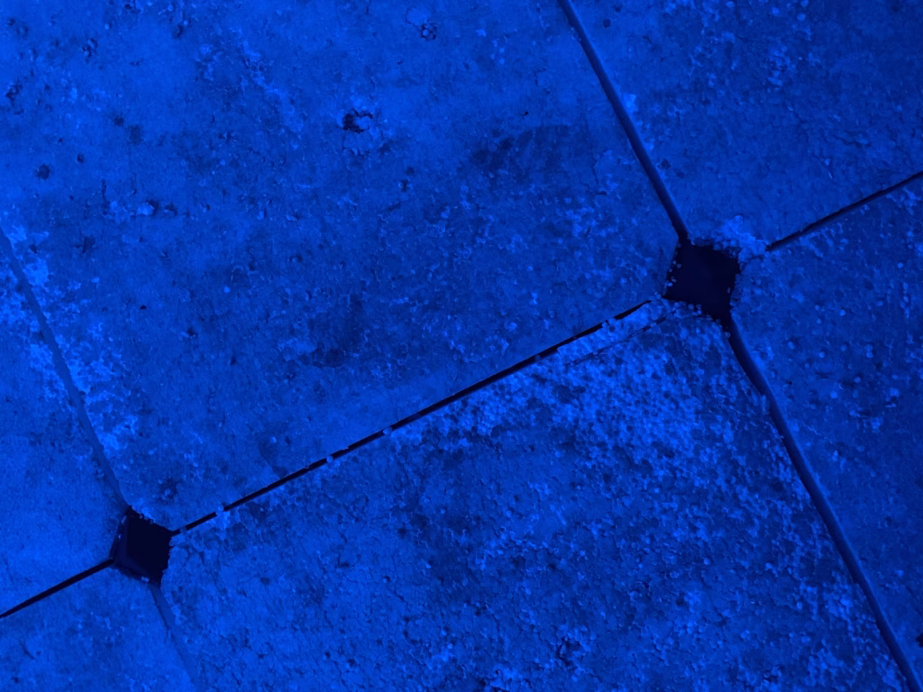 [D·E·025] rituals around the machines