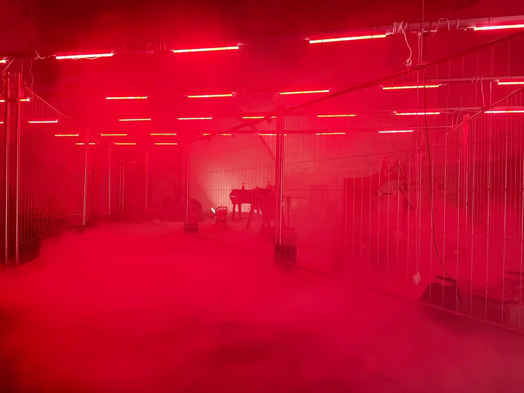 [D·E·025] rituals around the machines